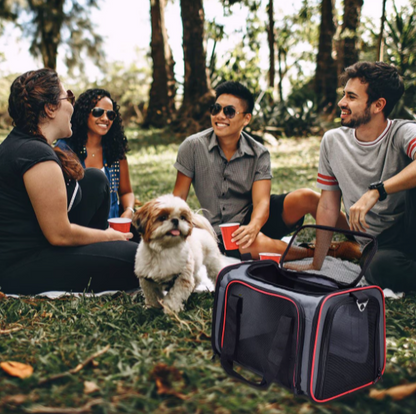Pet Travel Carrier Bag